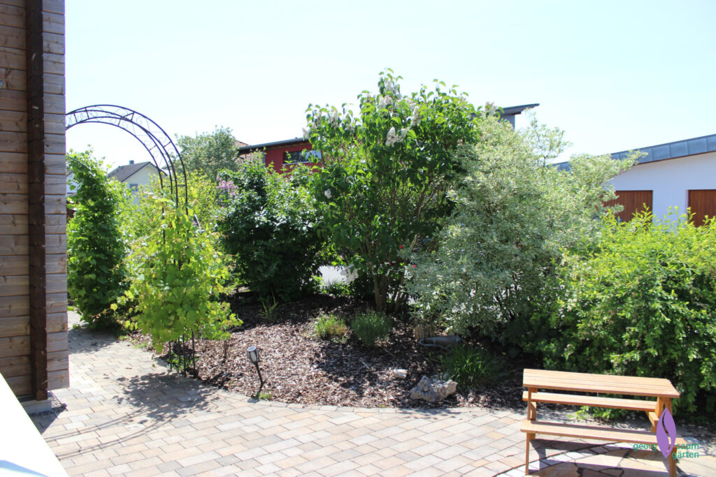 blühende Hecke auf Wall