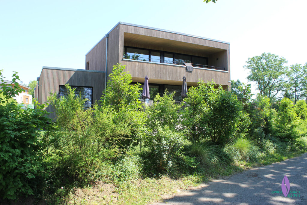 lebendige Hecke als Sichtschutz